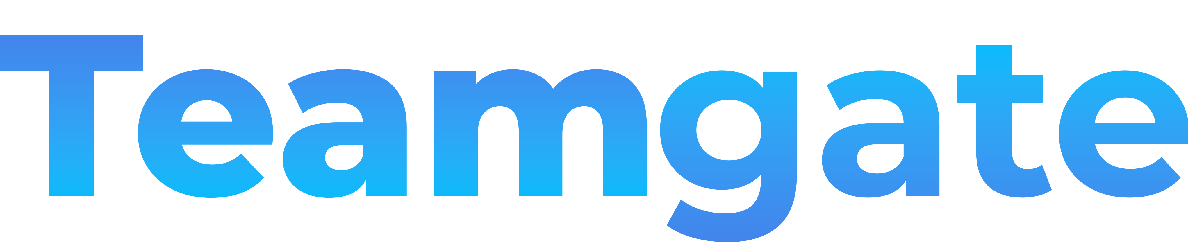 TeamGate Logo